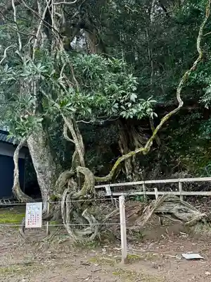 磯辺神社(京都府)