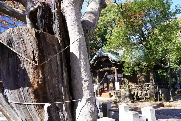阿邪訶根神社のその他建物