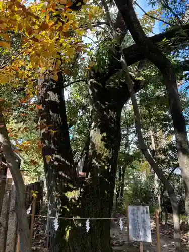 五社宮(愛知県)