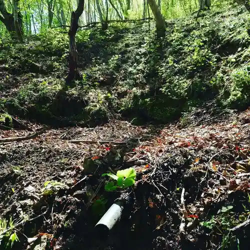 壽徳寺 じゅとくじの自然