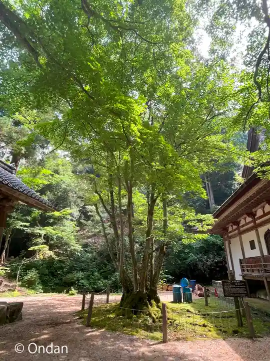 百済寺(滋賀県)