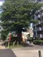 澤蔵司稲荷(慈眼院)(東京都)