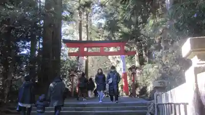 箱根神社(神奈川県)