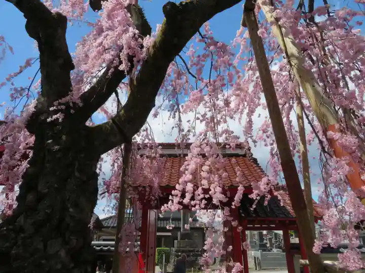 妙関寺(福島県)