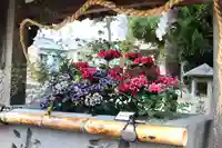 三津厳島神社(愛媛県)