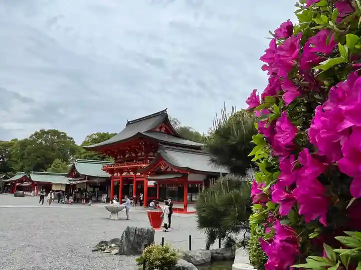 近江神宮(滋賀県)