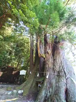 萩日吉神社(埼玉県)