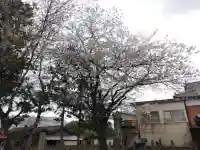 玉振神社の{uncategorized: "未分類", other: "その他", undefined: "問題あり", building: "その他建物", grave: "お墓", sacred_gate: "鳥居", guardian: "狛犬", statue: "像", buddha: "仏像", history: "歴史", nature: "自然", garden: "庭園", animal: "動物", pagoda: "塔", temizu: "手水舎", mountain_gate: "山門・神門", sanctuary: "本殿・本堂", subordinate: "末社・摂社", art: "芸術", scenery: "景色", jizo: "地蔵", ema: "絵馬", goshuin: "御朱印", omikuji: "おみくじ", items: "授与品その他", amulet: "お守り", goshuincho: "御朱印帳", eats: "食事", festival: "お祭り", votive_dance: "神楽", shichigosan: "七五三参", wedding: "結婚式", experience: "体験その他", initially: "初詣", around: "周辺", anti_infection: "感染症対策"}