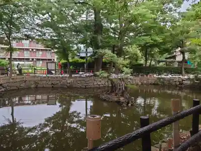 師岡熊野神社(神奈川県)