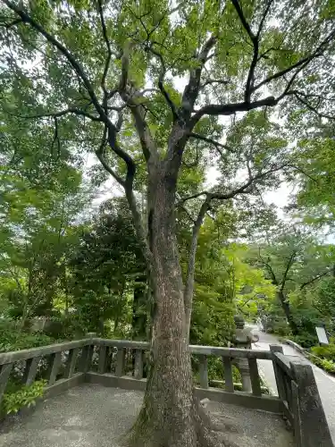宮山神社(神奈川県)