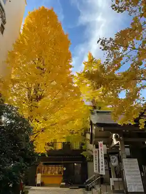 銀杏岡八幡神社(東京都)