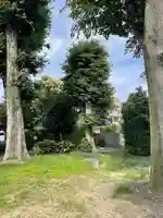 大神神社(花池)の自然