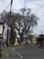 下妻神社のその他建物