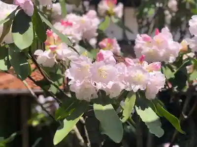 木舟山　順教寺の自然