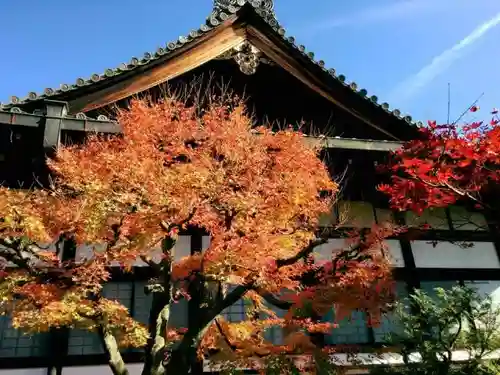 退耕庵のその他建物