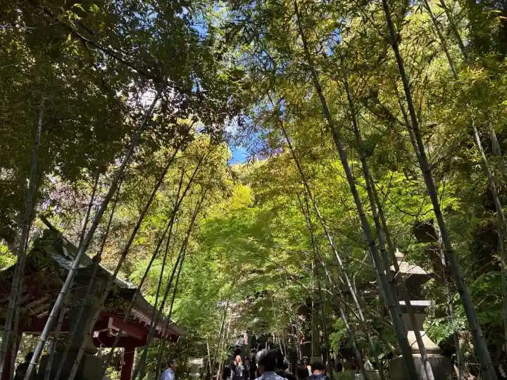 來宮神社の{uncategorized: "未分類", other: "その他", undefined: "問題あり", building: "その他建物", grave: "お墓", sacred_gate: "鳥居", guardian: "狛犬", statue: "像", buddha: "仏像", history: "歴史", nature: "自然", garden: "庭園", animal: "動物", pagoda: "塔", temizu: "手水舎", mountain_gate: "山門・神門", sanctuary: "本殿・本堂", subordinate: "末社・摂社", art: "芸術", scenery: "景色", jizo: "地蔵", ema: "絵馬", goshuin: "御朱印", omikuji: "おみくじ", items: "授与品その他", amulet: "お守り", goshuincho: "御朱印帳", eats: "食事", festival: "お祭り", votive_dance: "神楽", shichigosan: "七五三参", wedding: "結婚式", experience: "体験その他", initially: "初詣", around: "周辺", anti_infection: "感染症対策"}