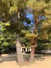 白鳥神社(香川県)