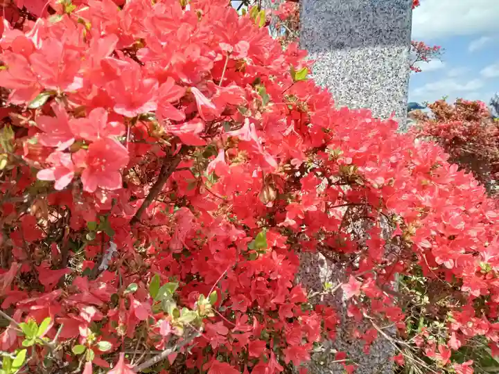 長岡天満宮(京都府)