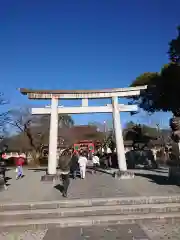 富士山本宮浅間大社の鳥居