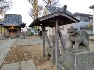 上小岩天祖神社の狛犬