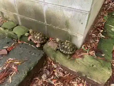 千手院(千葉県)