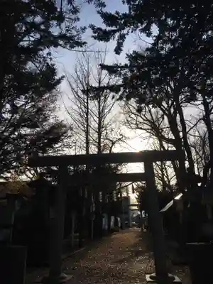 新琴似神社の鳥居