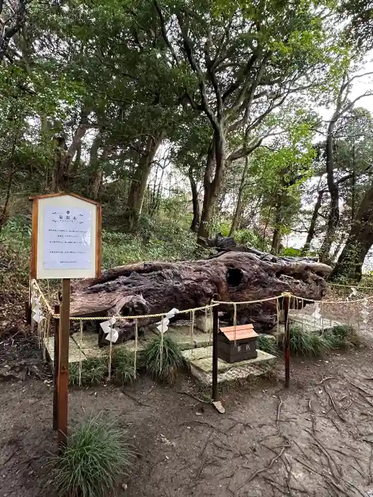 泉神社(茨城県)
