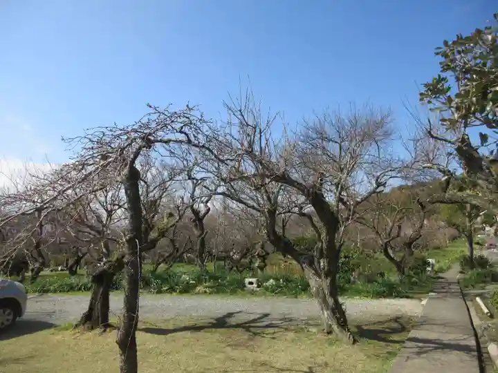 宝金剛寺の自然