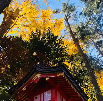 馬橋稲荷神社の本殿・本堂