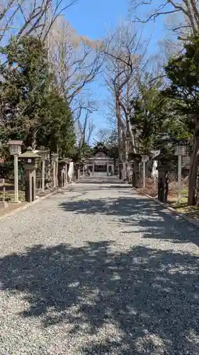 新琴似神社の景色