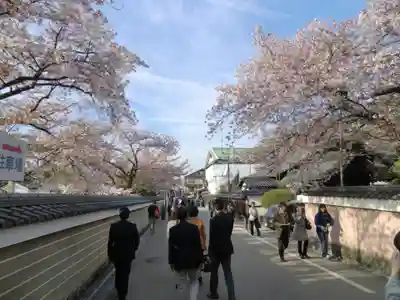 建仁寺（建仁禅寺）(京都府)