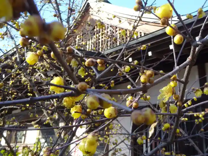 横浜 西方寺の自然