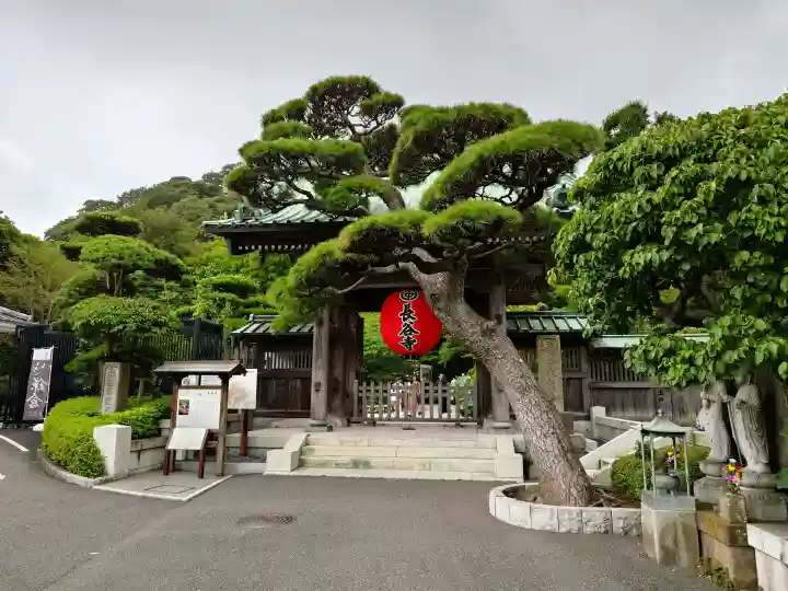 長谷寺(神奈川県)