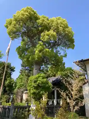 春日神社(神奈川県)