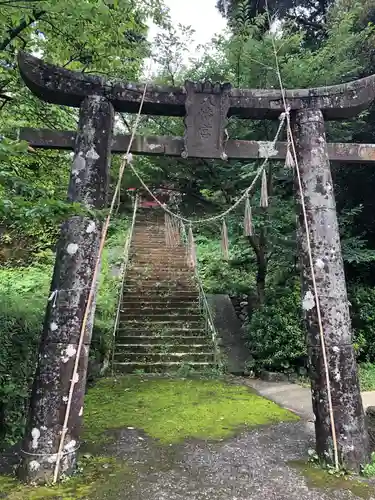 箱崎八幡神社の鳥居