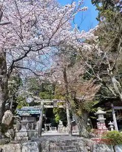 立志神社(滋賀県)(2025年04月07日(月) 19時35分48秒投稿)