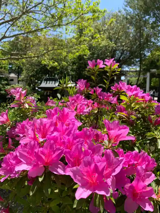 伊弉諾神宮の自然