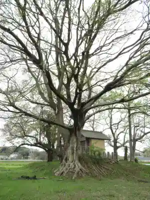 神明神社(千葉県)