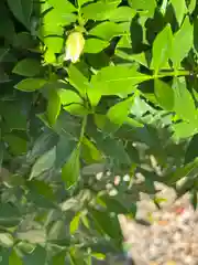 三輪神社(愛知県)