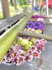 眞田神社の手水