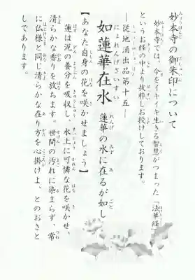 妙本寺(神奈川県)