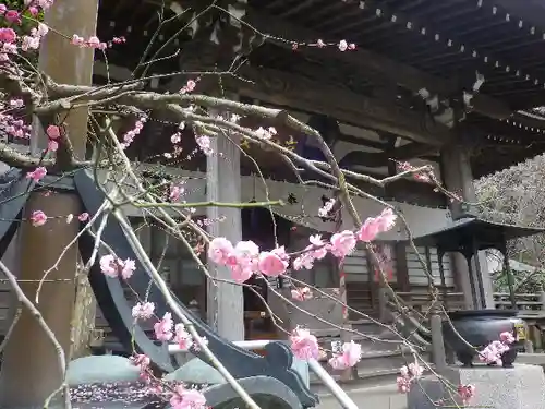 安國論寺（安国論寺）の自然
