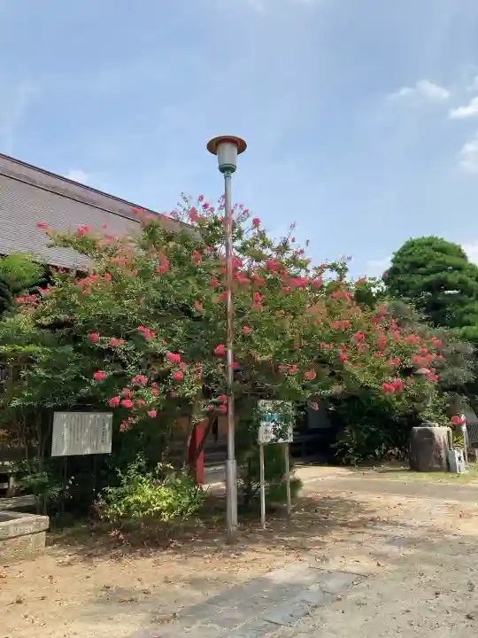 総願寺(埼玉県)