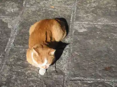 妙建山本立寺(東京都)