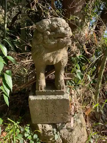 神社(名称不明)の狛犬