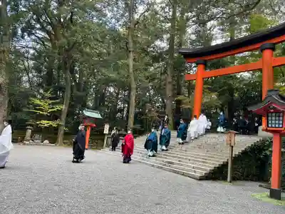 宇佐神宮のお祭り