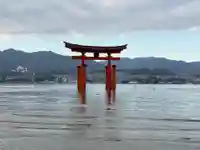 厳島神社の鳥居