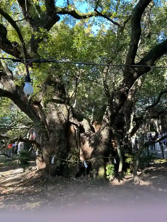 浜松八幡宮(静岡県)