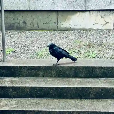 奥田神社(富山県)