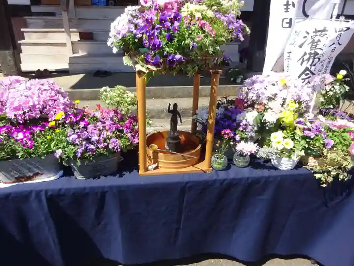 伊勢原 法泉寺のお祭り